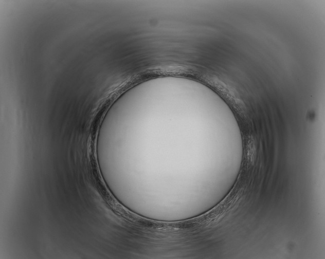 X0000098040206200803280802