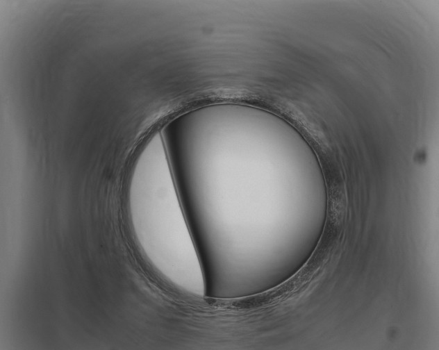 X0000098040207200803280802