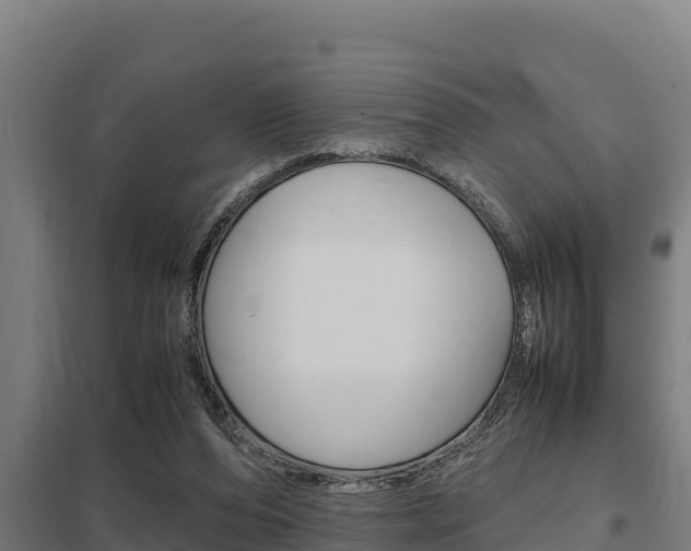 X0000098040208200803280802