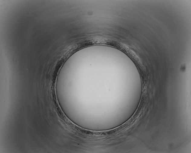 X0000098040209200803280802