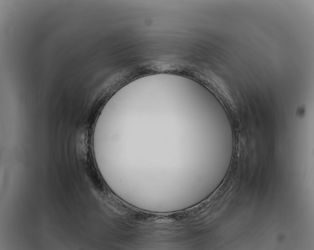 X0000098040210200803280802