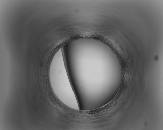 X0000098040211200803280802