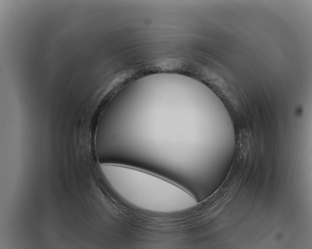 X0000098040212200803280802