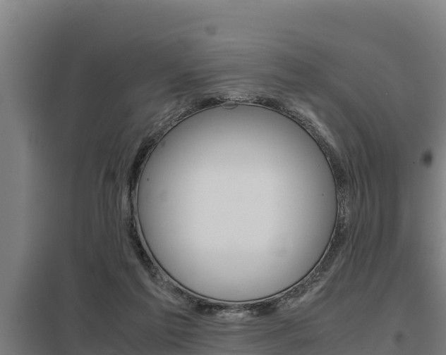 X0000098040213200803280802