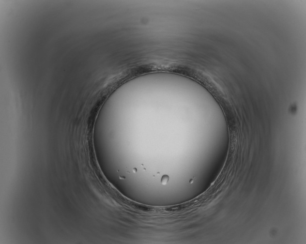 X0000098040215200803280801