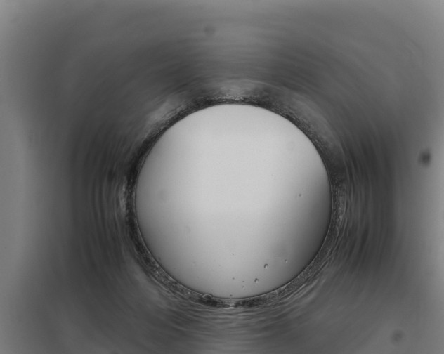 X0000098040216200803280801