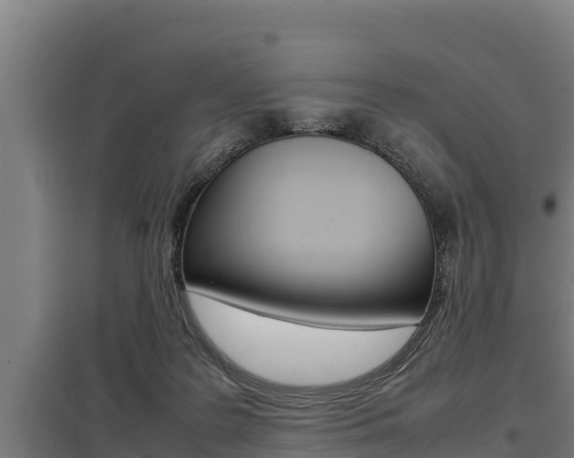 X0000098040219200803280801