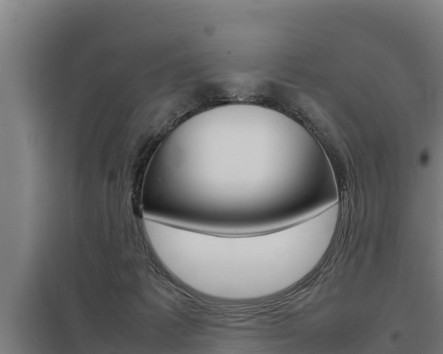 X0000098040221200803280801