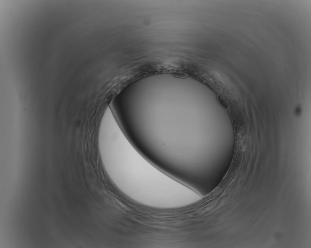 X0000098040223200803280801