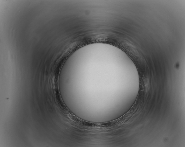 X0000098040224200803280801