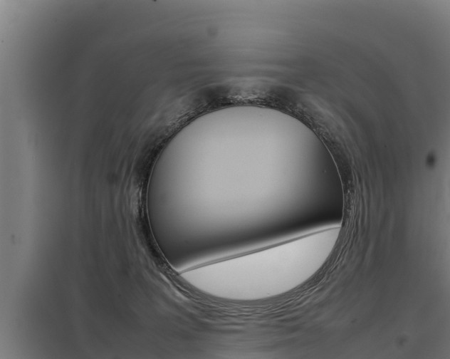 X0000098040227200803280801