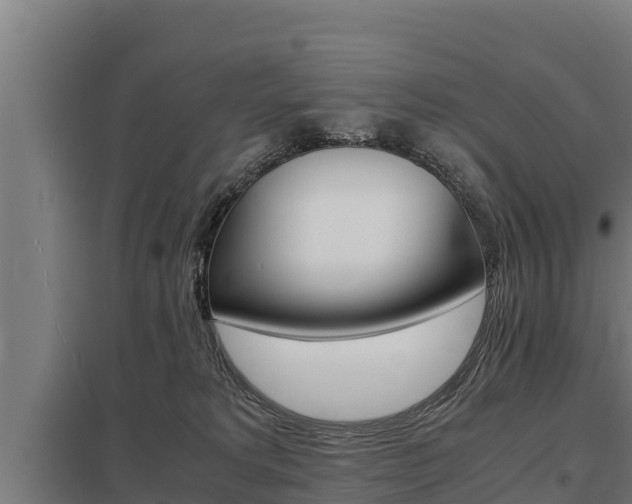 X0000098040229200803280801