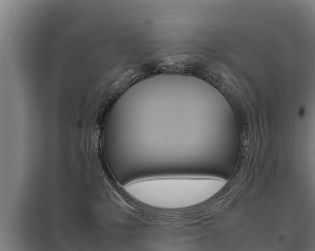X0000098040231200803280801