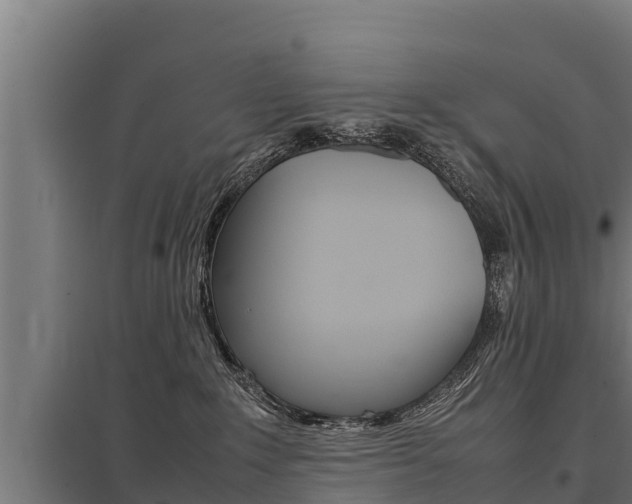 X0000098040235200803280801