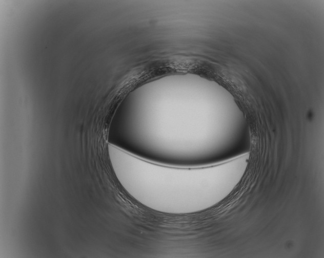 X0000098040237200803280801