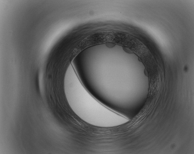 X0000098040239200803280801