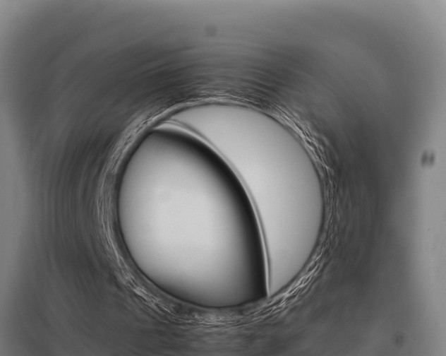 X0000098040241200803280800