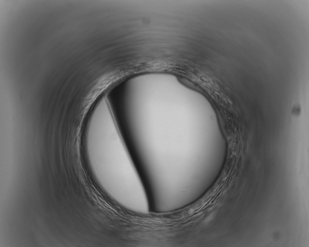 X0000098040242200803280800