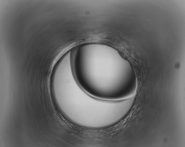 X0000098040244200803280800