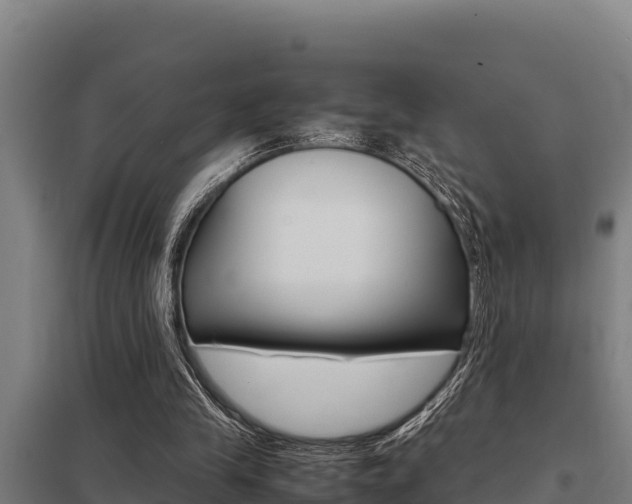 X0000098040245200803280800