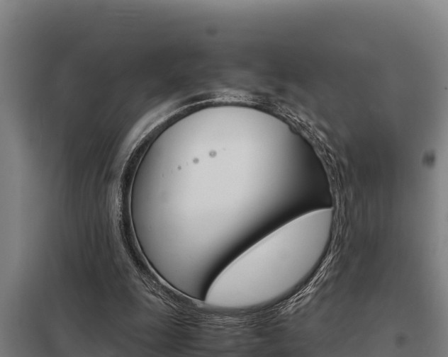 X0000098040247200803280800