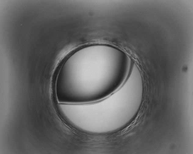 X0000098040248200803280800
