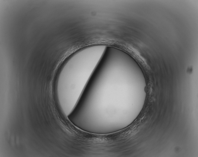 X0000098040250200803280800