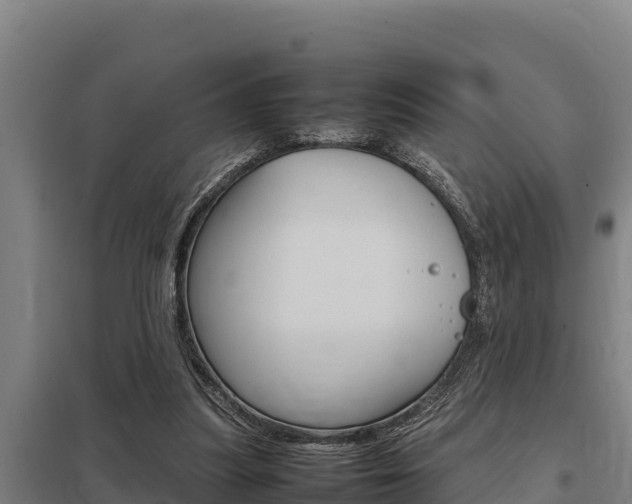 X0000098040251200803280800