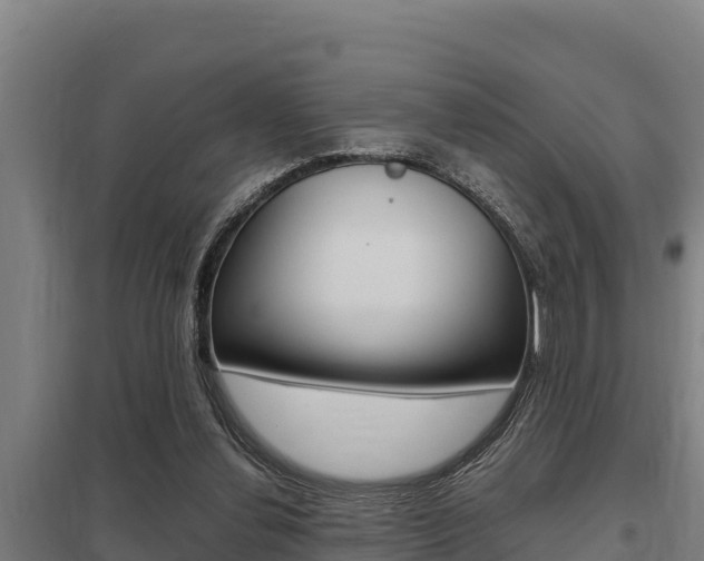 X0000098040252200803280800