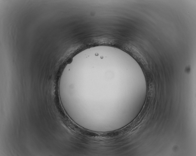 X0000098040255200803280801