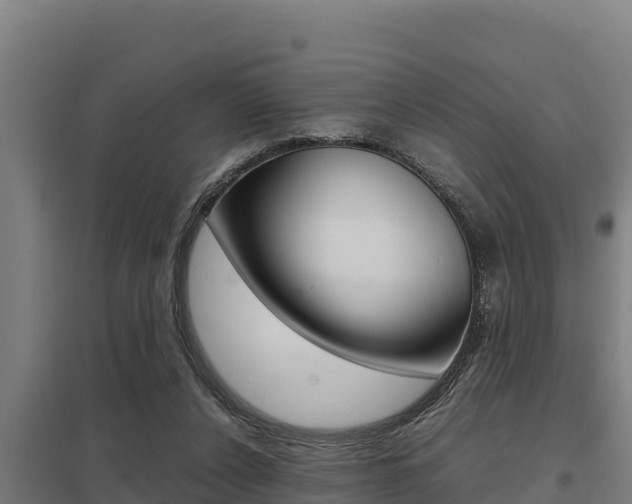 X0000098040256200803280801