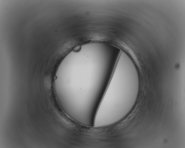 X0000098040257200803280801
