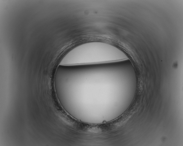 X0000098040258200803280801