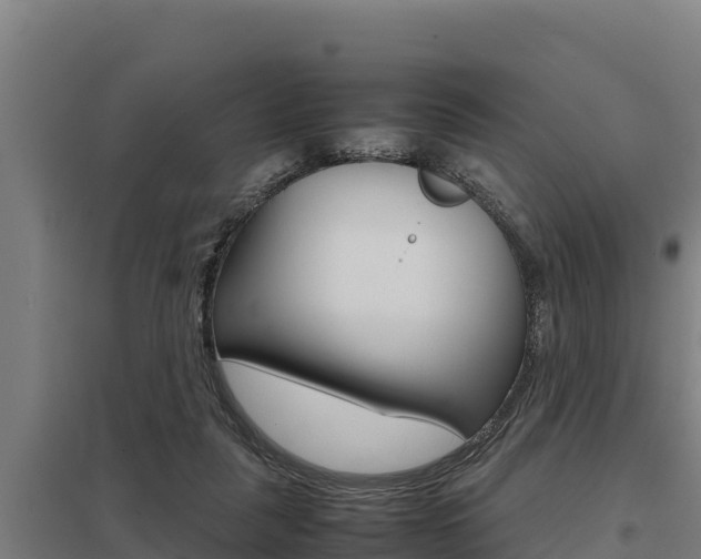 X0000098040259200803280801