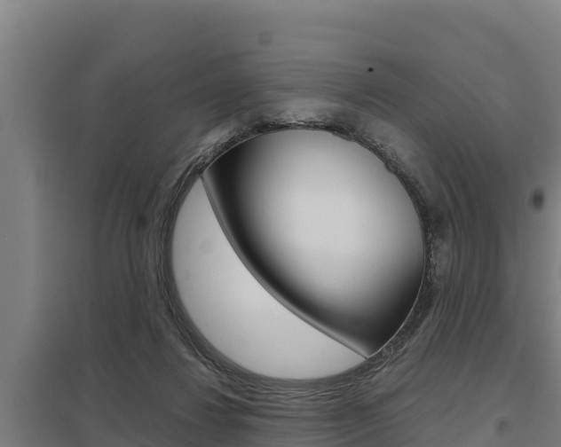 X0000098040260200803280801