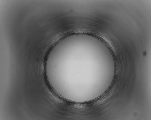 X0000098040261200803280801