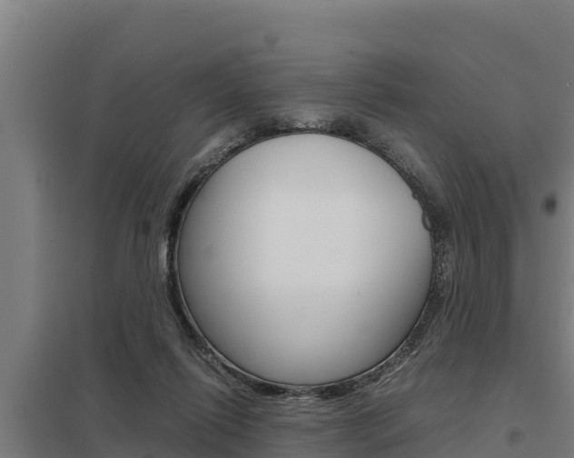 X0000098040262200803280801