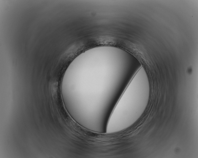 X0000098040263200803280801