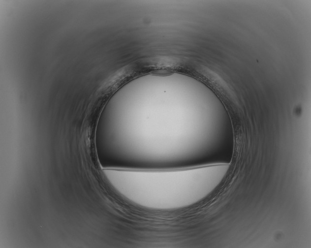 X0000098040264200803280801