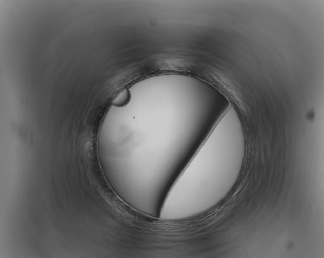 X0000098040265200803280801