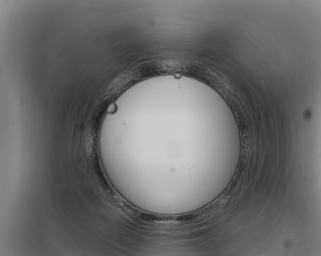 X0000098040266200803280801