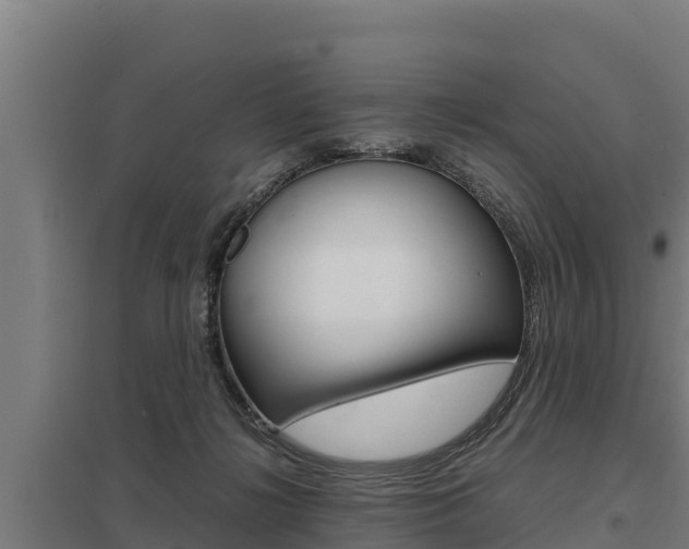 X0000098040268200803280801