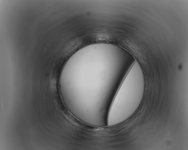 X0000098040269200803280801