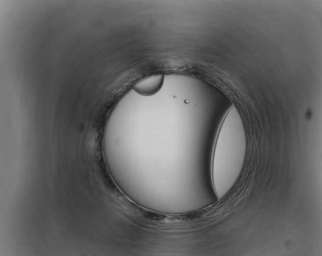 X0000098040270200803280801