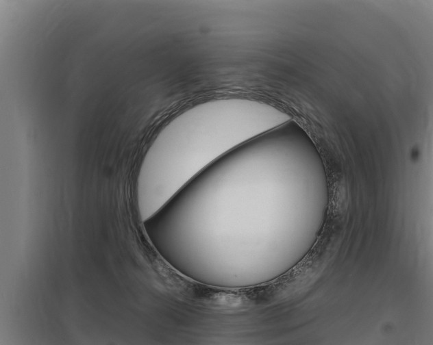 X0000098040272200803280801