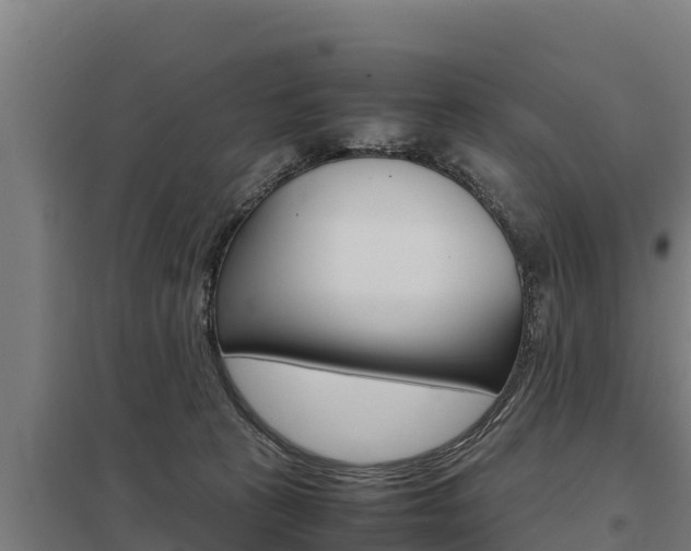 X0000098040273200803280801