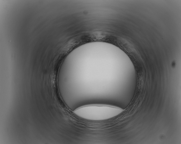 X0000098040274200803280801
