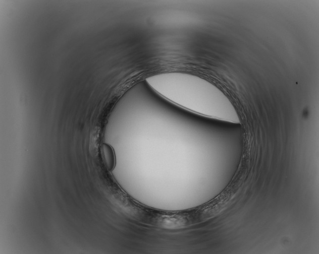 X0000098040275200803280801