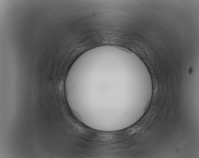 X0000098040276200803280801