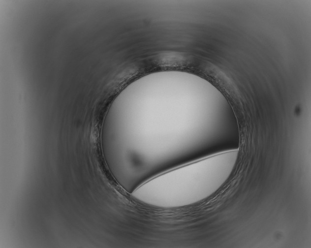 X0000098040277200803280801